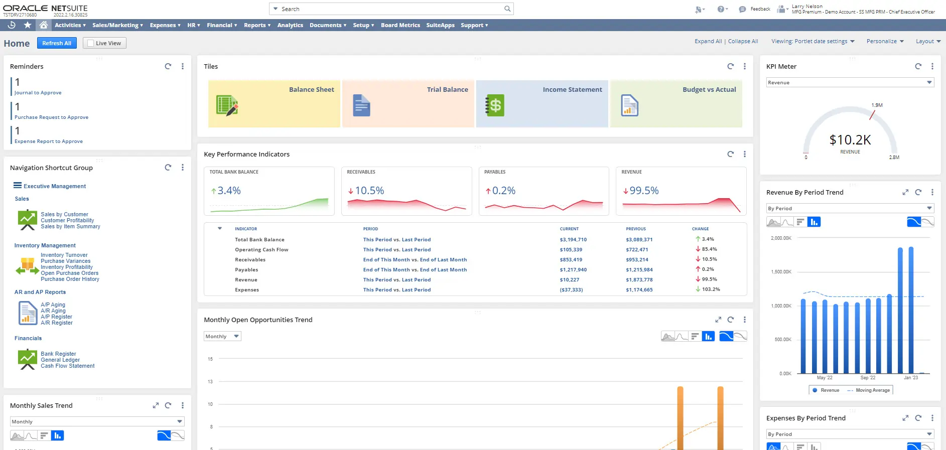 Oracle Netsuite Dashboard 