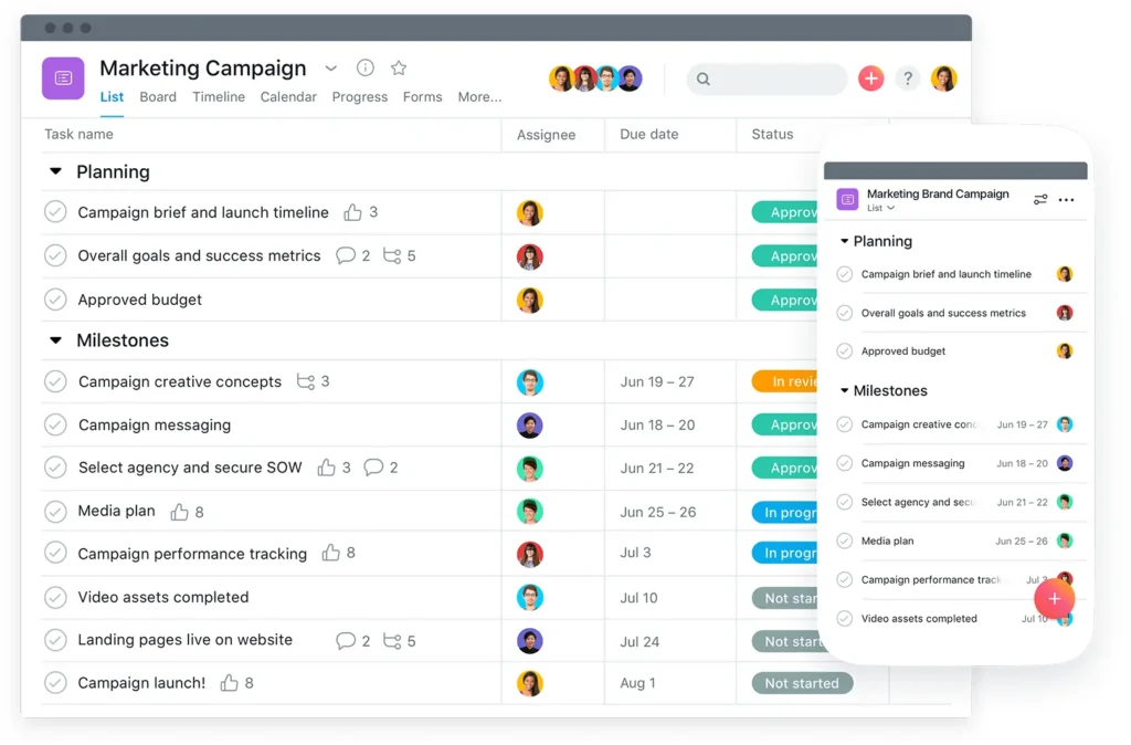Asana Analytics & Reports