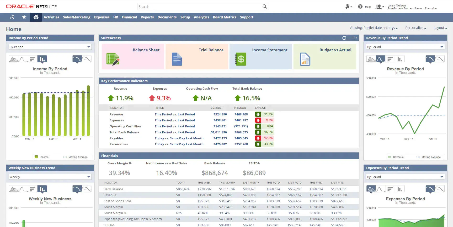 Netsuit Budgeting