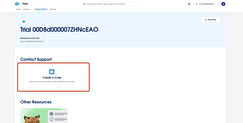 Salesforce support