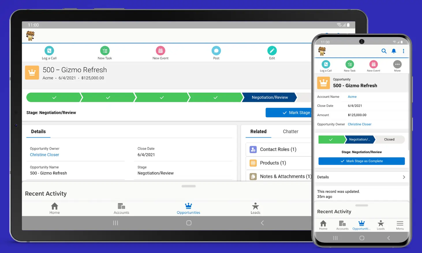 salesforce Mobile App 
