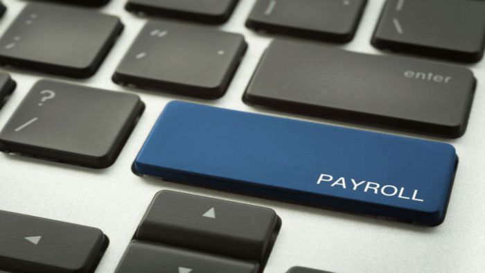 A Concise Guide to Online Payroll Services