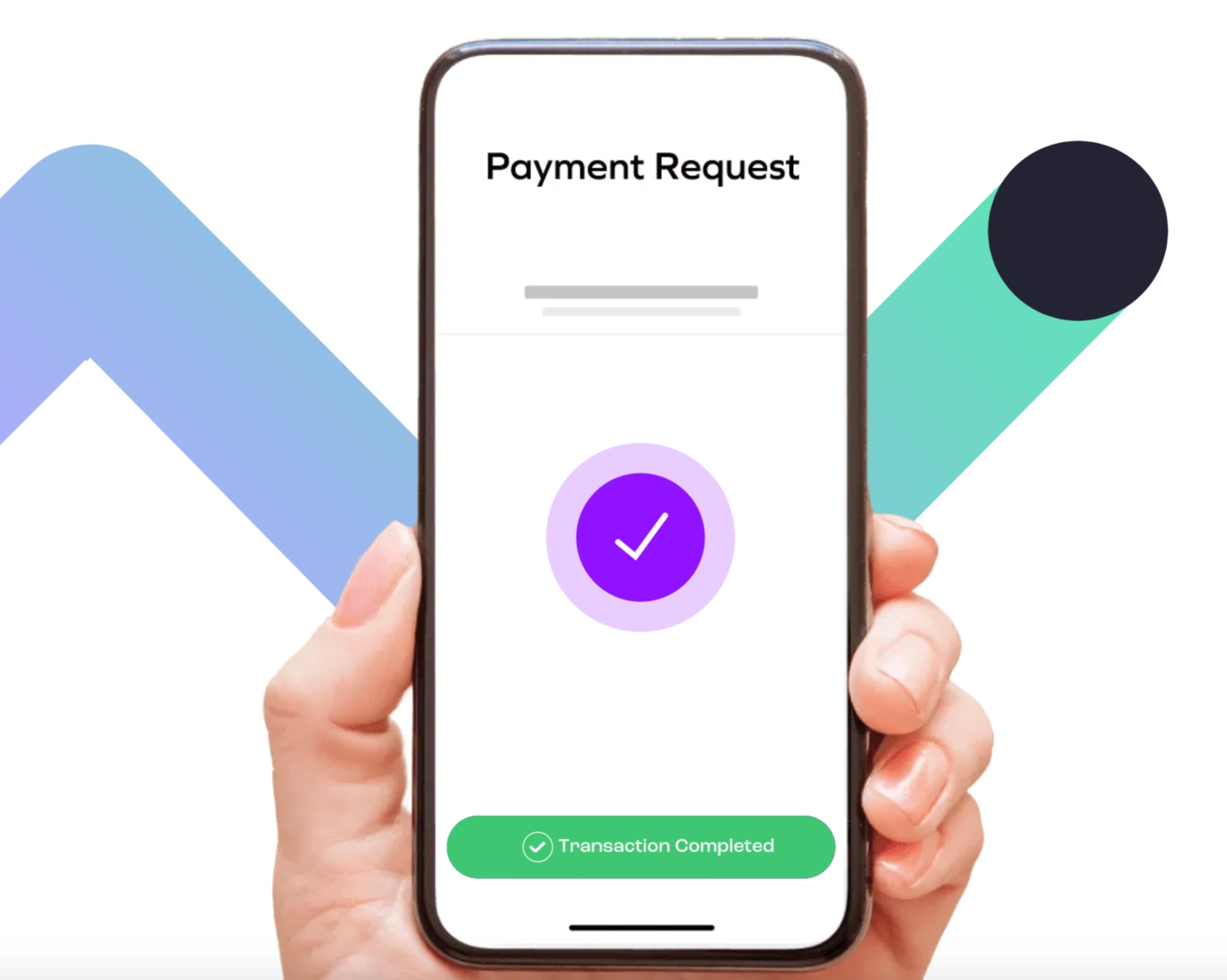 pay.com payment requests