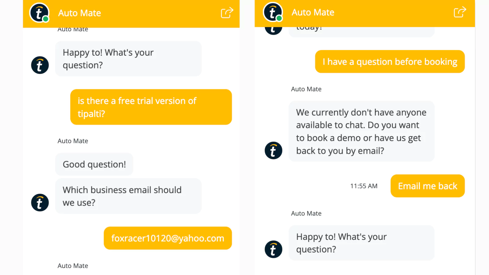 Tipalti Accounts Payable chatbot support