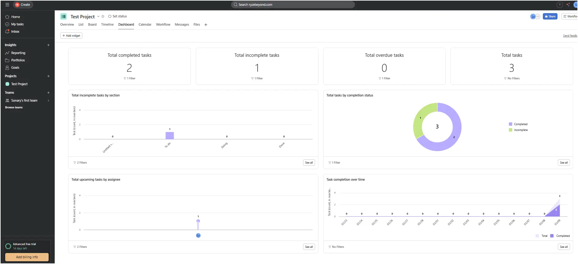 asana reporting tool