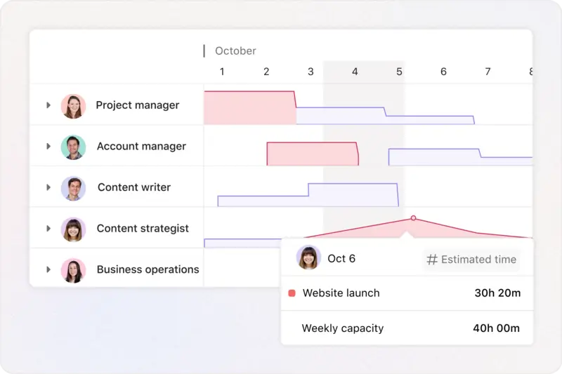 Project management software for allocating resources 