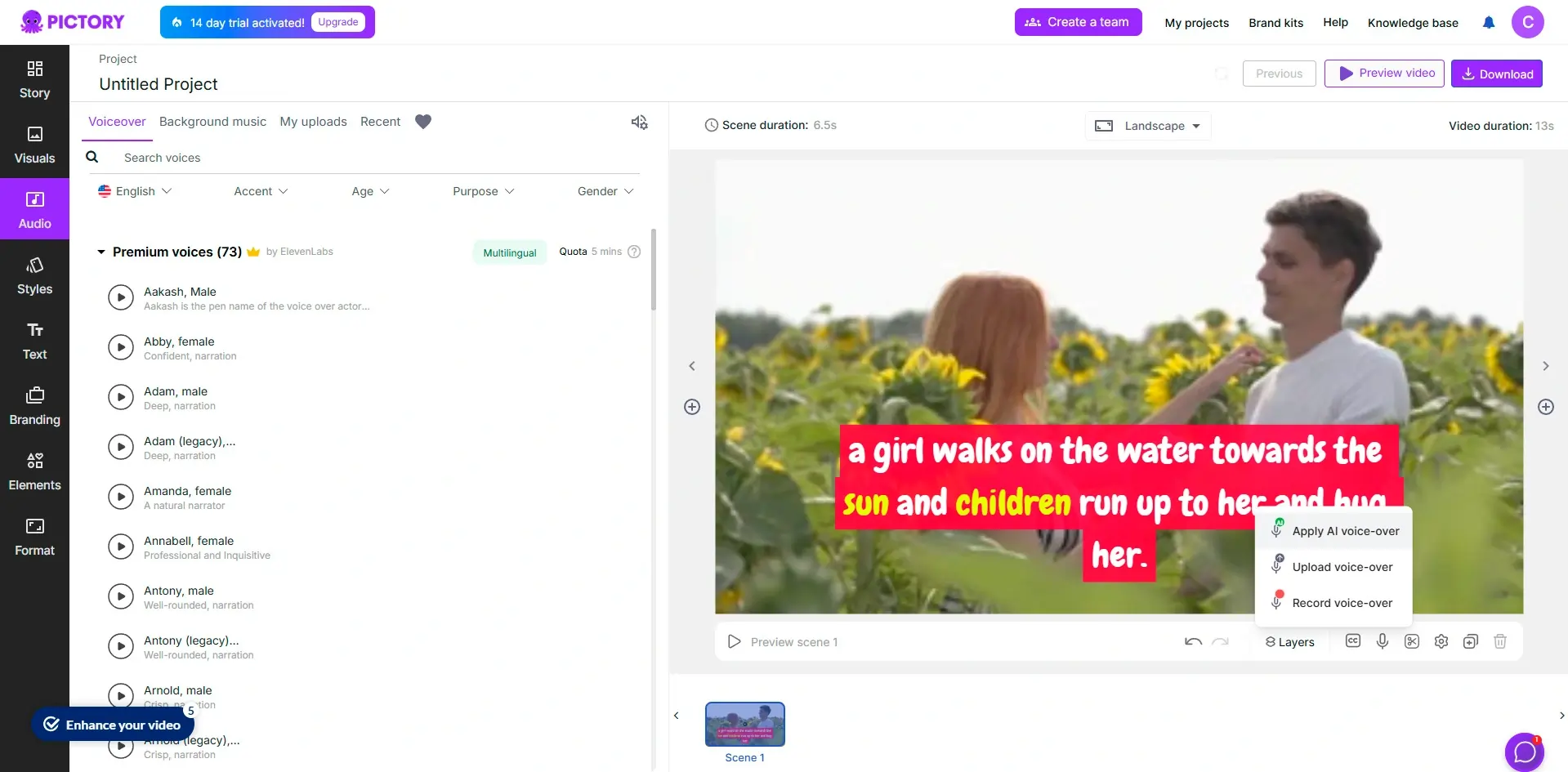 Pictory Voiceover and Subtitle Generation 