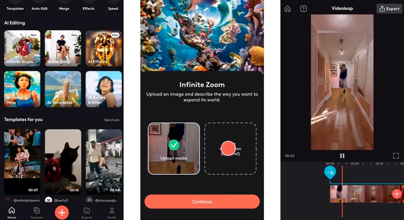 Videoleap Infinite Zoom 