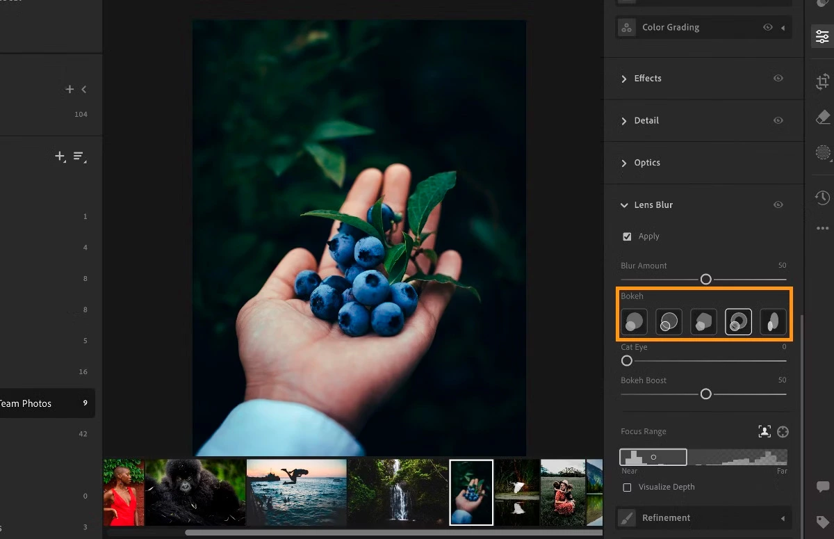 lightroom Lens Blur
