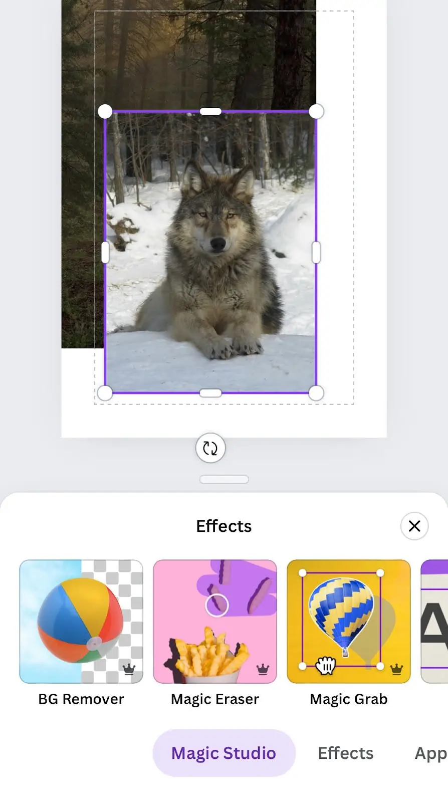 Canva iPhone Magic Eraser