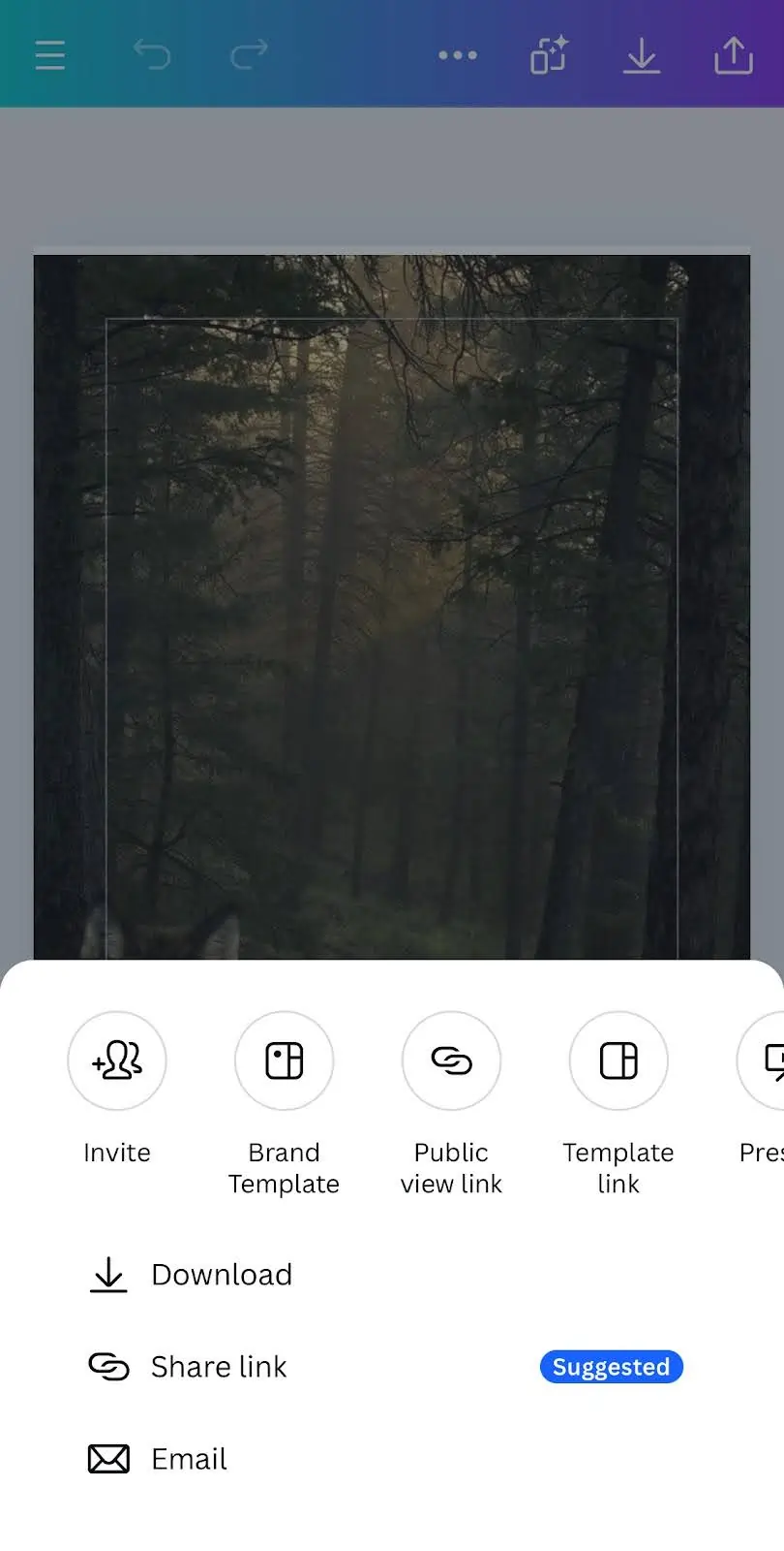 iPhone Download
