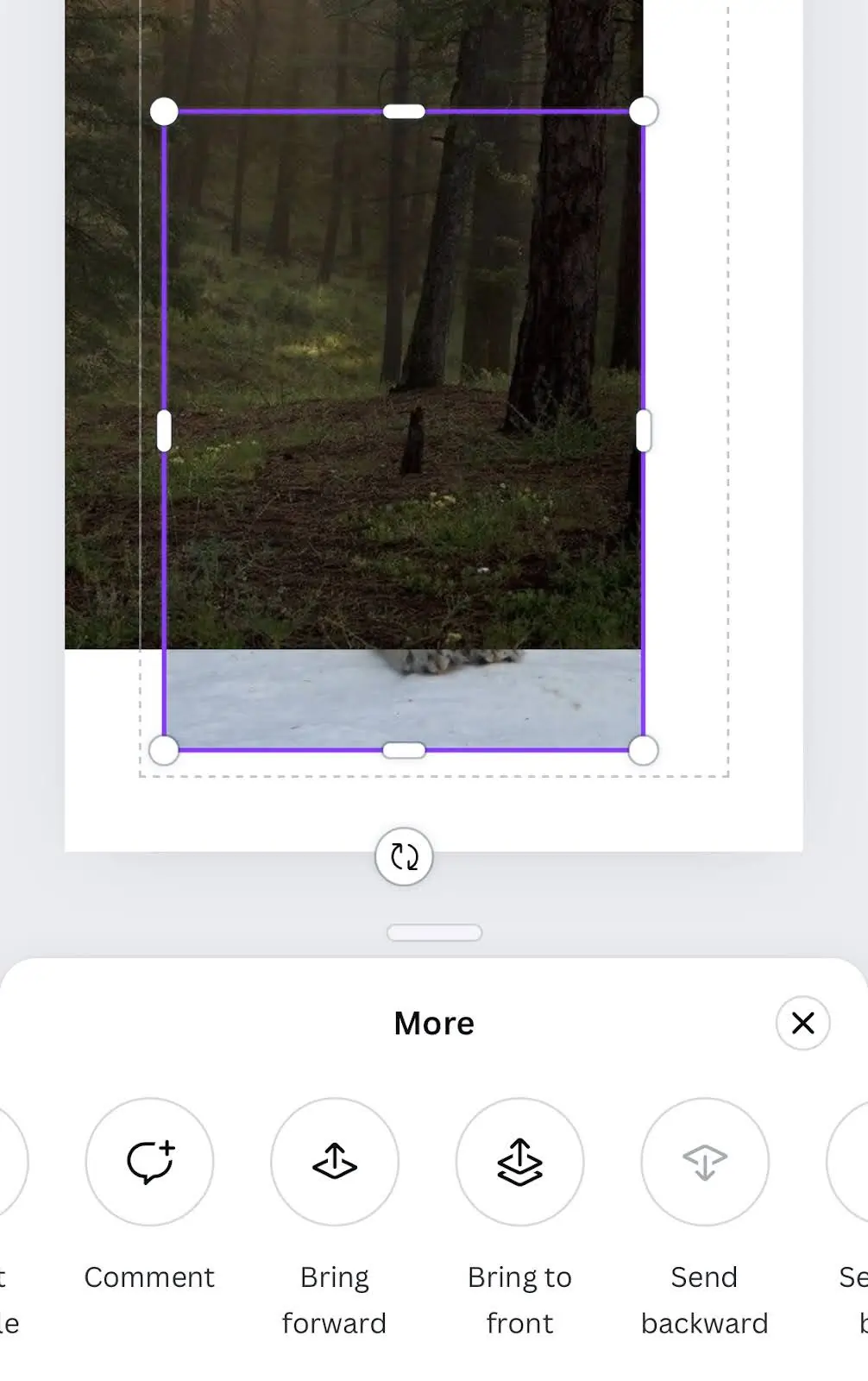 Canva Iphone Position