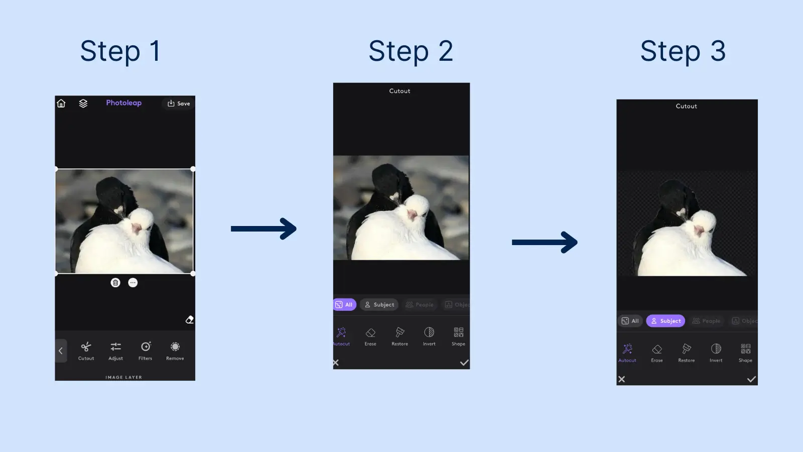How to remove background from image with Photoleap
