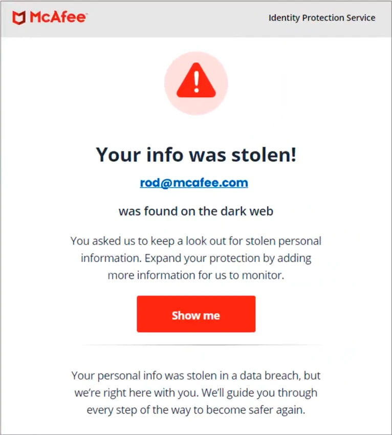 Identity Theft Monitoring