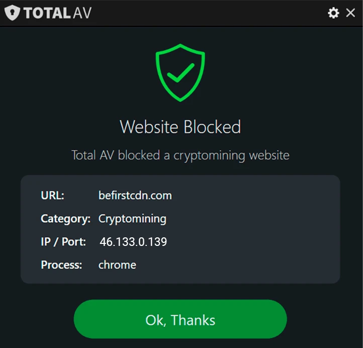 Website Blocked Screen