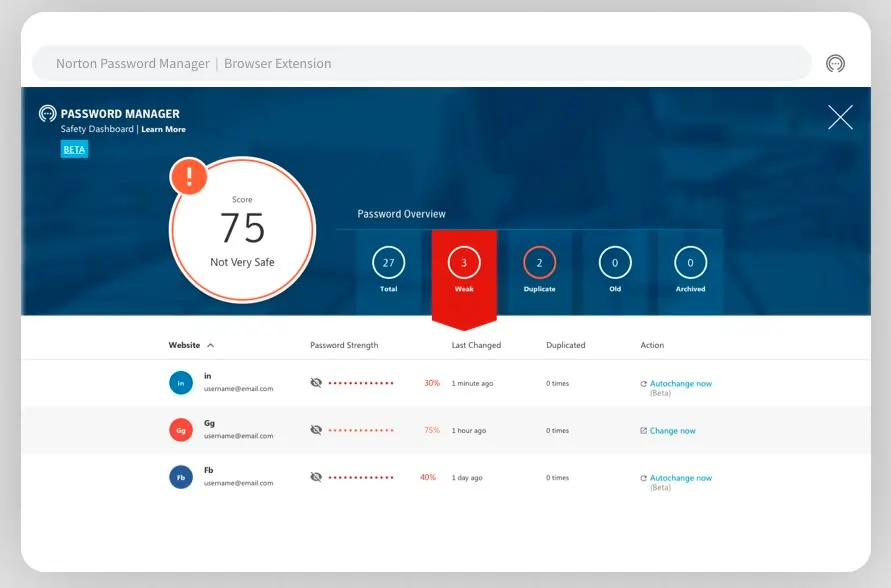 Password Health Report