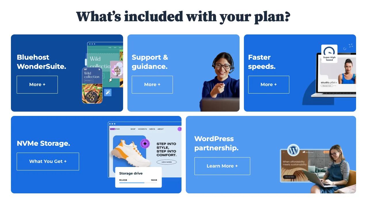 bluehost plan features
